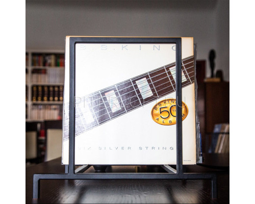 Контейнер для винила Хуго